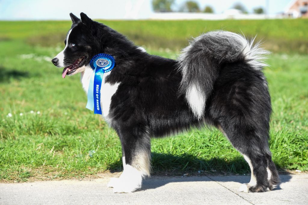 CH. The Brotherhood Of Shadow Thyself be stronger aaron